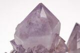 Cactus Quartz (Amethyst) Crystal Cluster - Huge Crystals! #206119-6